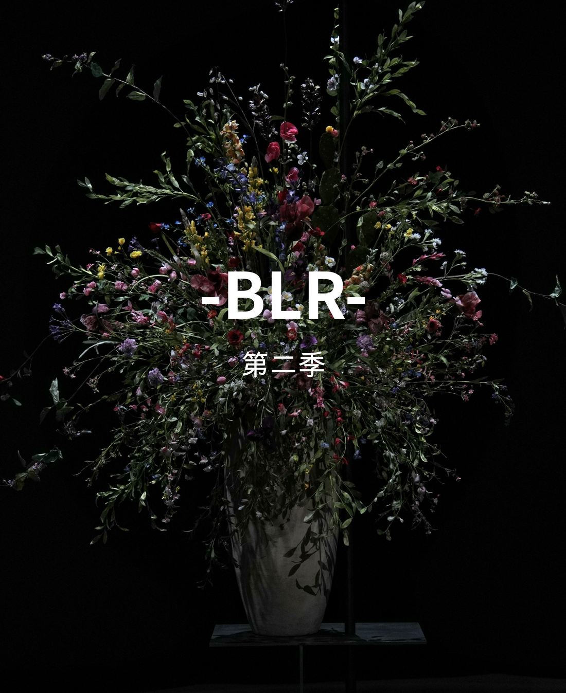 BLR "Season 2" full collection